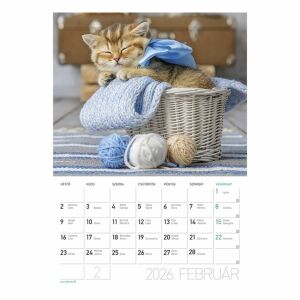 Falinaptár 2026 LIZZY CARD A/4 álló Cicák