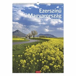 Falinaptár 2026 TOPTIMER T093 310x420mm álló Ezerszínű Magyarország