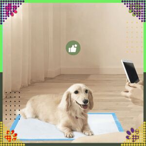 Hygienické plienky pre psov XL hrúbky 40x60cm - 50 ks 141427488 - Box pre psov a toaleta