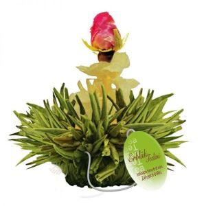 Creano ErblühTee virágzó zöld teagolyó - epres 141950724 - Virágzó tea