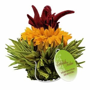 Creano ErblühTee virágzó zöld teagolyó - mangós 141950731 - Virágzó tea