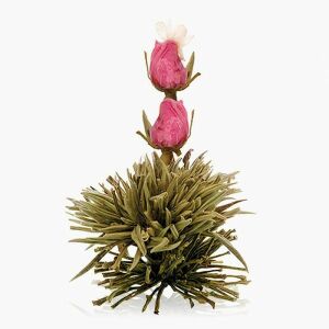 Creano virágzó fehér teagolyó - rózsa-jázmin 141950735 - Virágzó tea