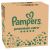 Mesačné balenie plienok Pampers Premium Care 2-5kg Newborn 1 (2x156ks) 146266039