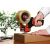 Tesapack Abroller Classic  - um Pakete zu verpacken - (56403-00000-01) 167605998
