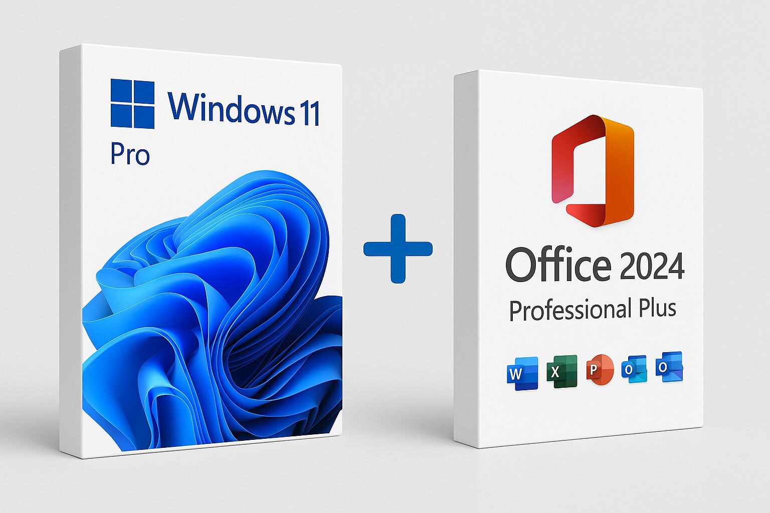 Windows 11 Pro + Office 2024 Professional Plus