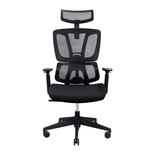 Ergonomischer Bürostuhl Balance Pro, RONDI, mit Netzrückenlehne, verstellbarer Lendenwirbelstütze, Synchronmechanik, schwarz 142071063