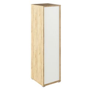 Akasztós szekrény, artisan tölgy/fehér, RIOMA TYP 20