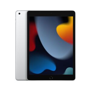 Apple iPad 10.2 inch Wi-Fi 64GB Argintiu - Tablete
