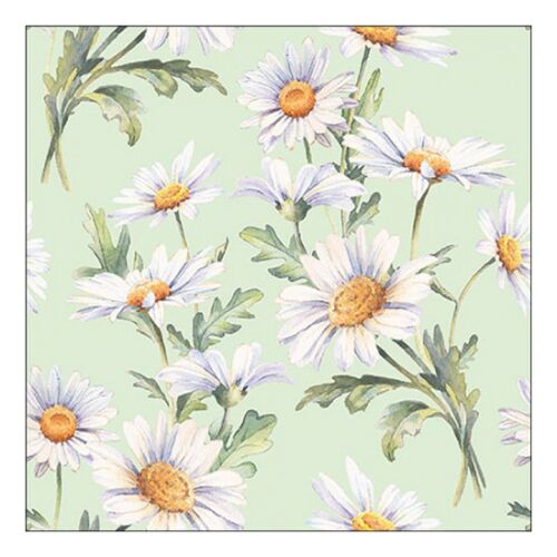 AMB.13319546 Beautiful daisies green papírszalvéta 33x33cm, 20db-os 142289339