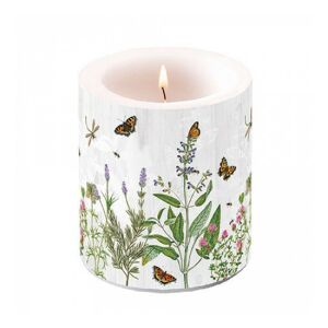 AMB.19319345 Herb Garden átvilágítós gyertya 10x10cm 142289532 - Gyertya