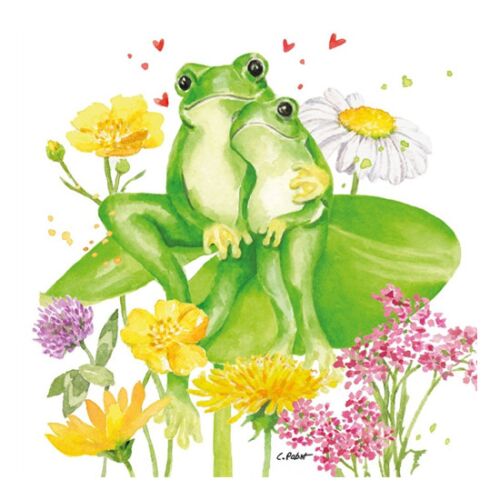 PPD.C133002965 Tina &amp; Tom papírszalvéta 33x33cm, 20db-os 142289916