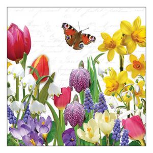 AMB.13319640 Sring feeling papírszalvéta 33x33cm, 20db-os 142290065 - Szalvéta