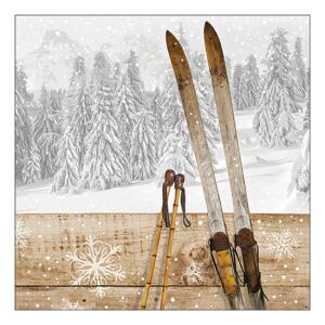 AMB.33320230 Retro ski papírszalvéta 33x33cm, 20db-os 142290983 - Szalvéta