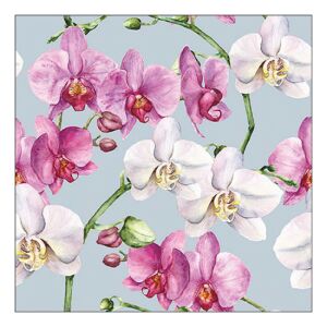 AMB.13319606 Elegant orchids blue papírszalvéta 33x33cm, 20db-os 142291202 - Háztartási papírtermék