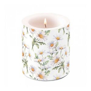 AMB.19319545 Beautiful daisies white átvilágítós gyertya 10x10cm 142291247 - Gyertya