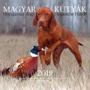 Magyar Kutyák - Naptár 2019 45487970 