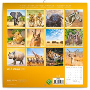 Realsystem 300 x 300mm 2023 Falinaptár - Wild Africa 142560338 - REALSYSTEM