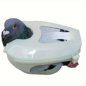 Galamb rögzítő tartó madáretetéshez, gyógyszeradagoláshoz, oltáshoz, 142573262 - Rögzítő