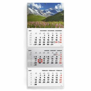 Toptimer 315 x 746mm 2022 Speditőrnaptár - Hegy 142641374 - TOPTIMER