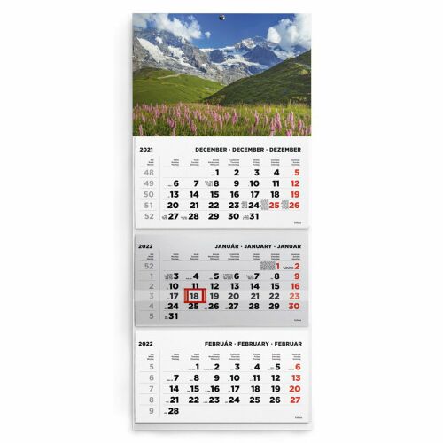 Toptimer 315 x 746mm 2022 Speditőrnaptár - Hegy 142641374