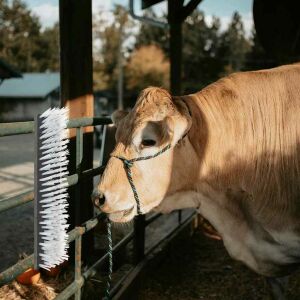 vidaXL Tejkefék Fekete és Fehér 50 x 10 x 6.5 cm Műanyag és Acél 142826895 - Lovaglás