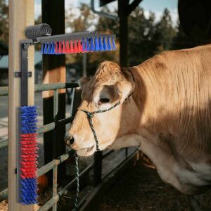 vidaXL Tejkefék Egyéb Piros és kék 84 x 10 x 91 cm Műanyag és Acél 142843176 - Lókefe