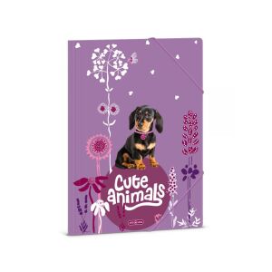 Ars Una: Cute Animals - Puppy tacskó mintás gumis mappa A/4 142927829 - Irattartó mappa