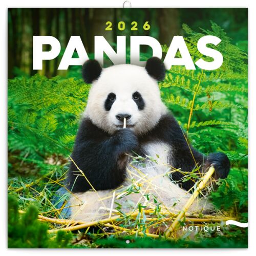 Realsystem 2024-es Pandas 6097-PS lemeznaptár (6097-PS) 143868931