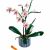 LEGO® Icons Botanicals Orchidea 10311 142941603