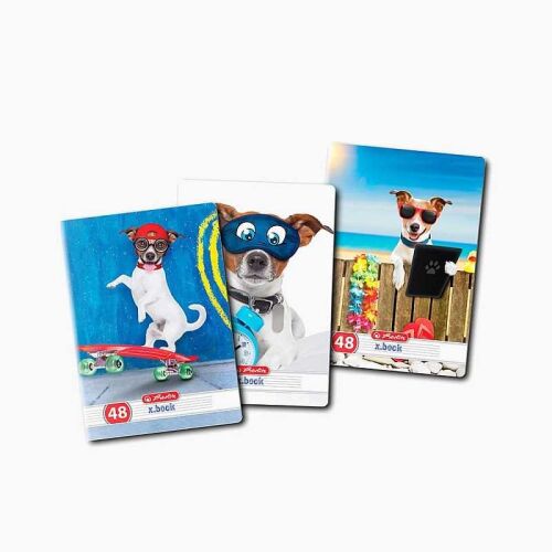 Caiet dictando format A5, 48 file hartie 70g/mp, coperti carton dublu cretat, Cool Dog 142949677