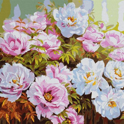 Ideyka Festés számok szerint Pünkösdi rózsák - 50 x 50 cm 142991014