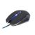Computermaus Gembird MOUSE USB OPTICAL GAMING/BLAU MUSG-001-B 143003831