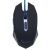 Computermaus Gembird MOUSE USB OPTICAL GAMING/BLAU MUSG-001-B 143003831
