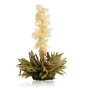 Creano virágzó fehér teagolyó - jázminos 143050817 - Virágzó tea