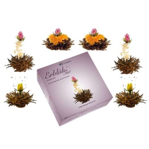 Creano ErblühTee virágzó fekete tea díszdobozban - 6 darabos 143050843