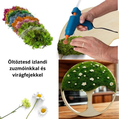 Natúr fa - Dekorálható DIY fa alap 37cm - íves fa