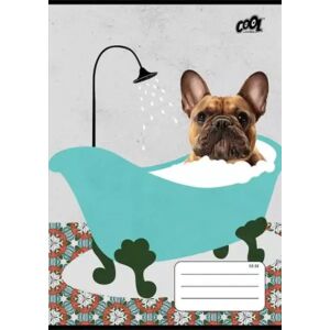 Caiet cu linii A5 Bath, clasa a 2-a - 16-32 pagini - diverse modele 143166160 - Caiete