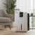 Pepita 2.2L Dehumidifier in Home Interior