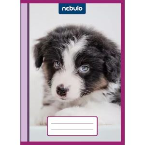 Cuki mintás bújtatós füzetborító - A/5-ös, 10 db-os csomag 143225757 - Nebulo