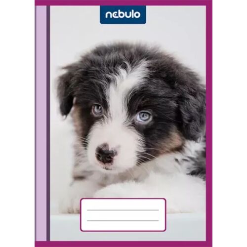 Simpatični omotač za bilježnice s uzorcima - A5, paket od 10 komada 143225757