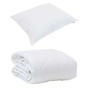 vidaXL Duvet pentru Toate Sezoanele cu pernă 2 pcs Alb Microfibră 143295054 - Plapume