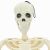 vidaXL Halloween csontváz 2 pcs Fehér 85 cm PVC 143312863