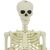 vidaXL Halloween Dekoráció Skeleton 2 pcs Fehér 155 x 38.5 cm 143313043