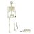 vidaXL Halloween Dekoráció Skeleton 2 pcs Fehér 155 x 38.5 cm 143313043