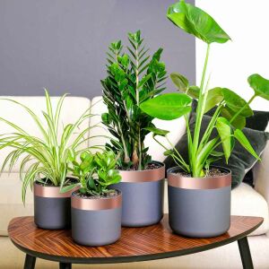 vidaXL Bandă din cupru dublă față 6 pcs Cupru 2000 x 5 cm Cupru 143313689 - Accesorii de birou