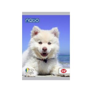 Iskolai kellékcsomag 1. osztályosoknak, komplett készlet általános iskolásoknak, 22 darabos