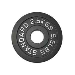 Náhradný kotúč zo špeciálnej liatiny 2,5 kg - priemer otvoru 50 mm 143519732 - Domáce cvičenie