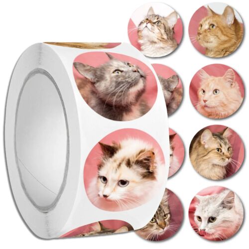 Színes, valósághű macska matricák 500 darabos tekercsen barkácsolás gyerekeknek 143566128