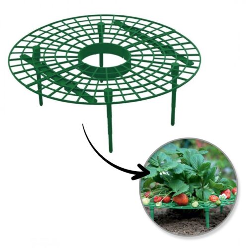 Növénytermesztő állvány 30 cm - Támasz eperhez ROS20"