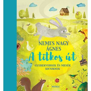 A titkos út 143646890 - Gyermek & Ifjúsági könyv